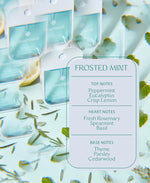 Frosted Mint Hand Sanitizer