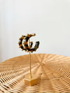 Carmin Studded Hoops-Tortoise