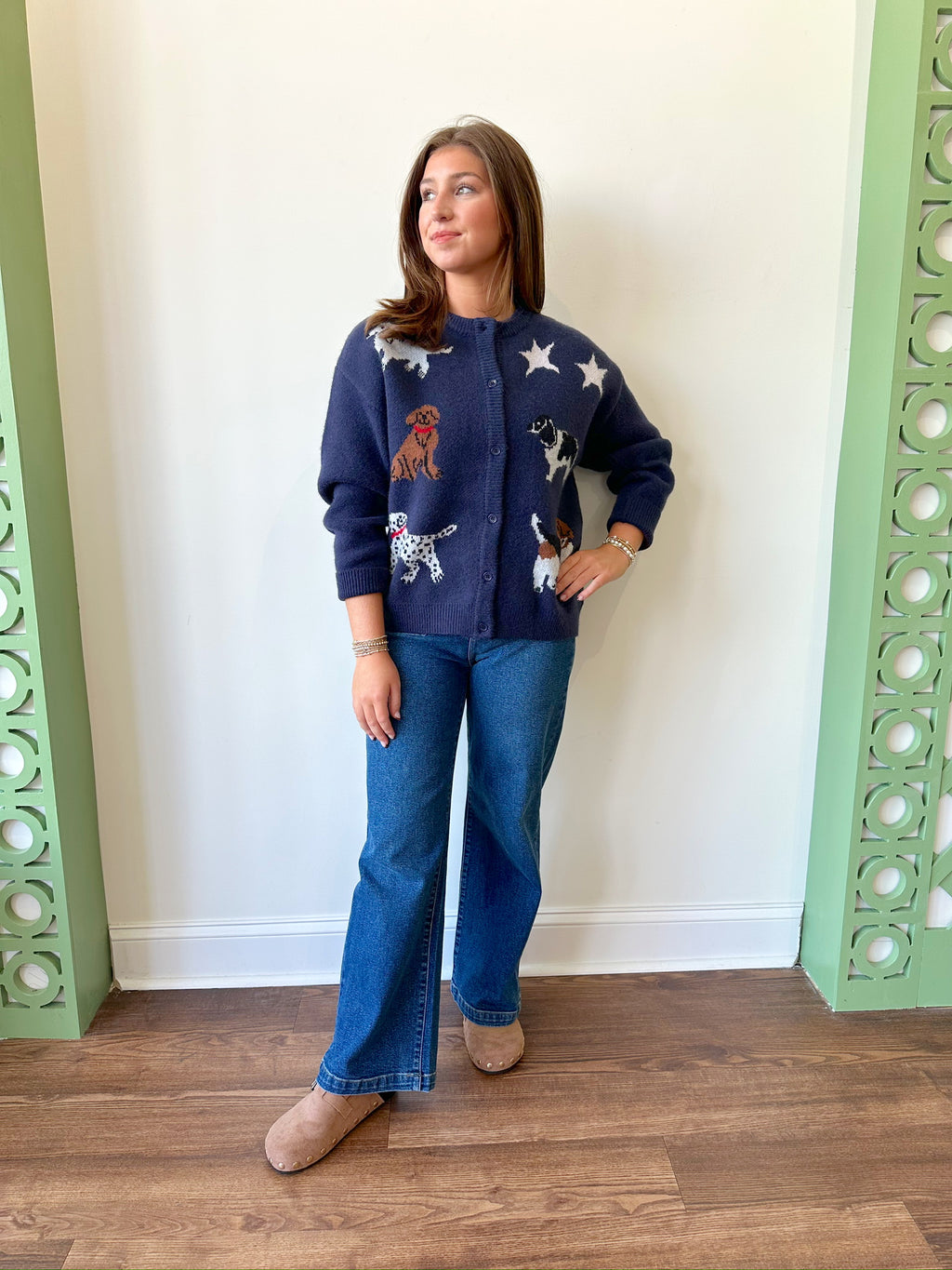 Hayden Navy Cardigan