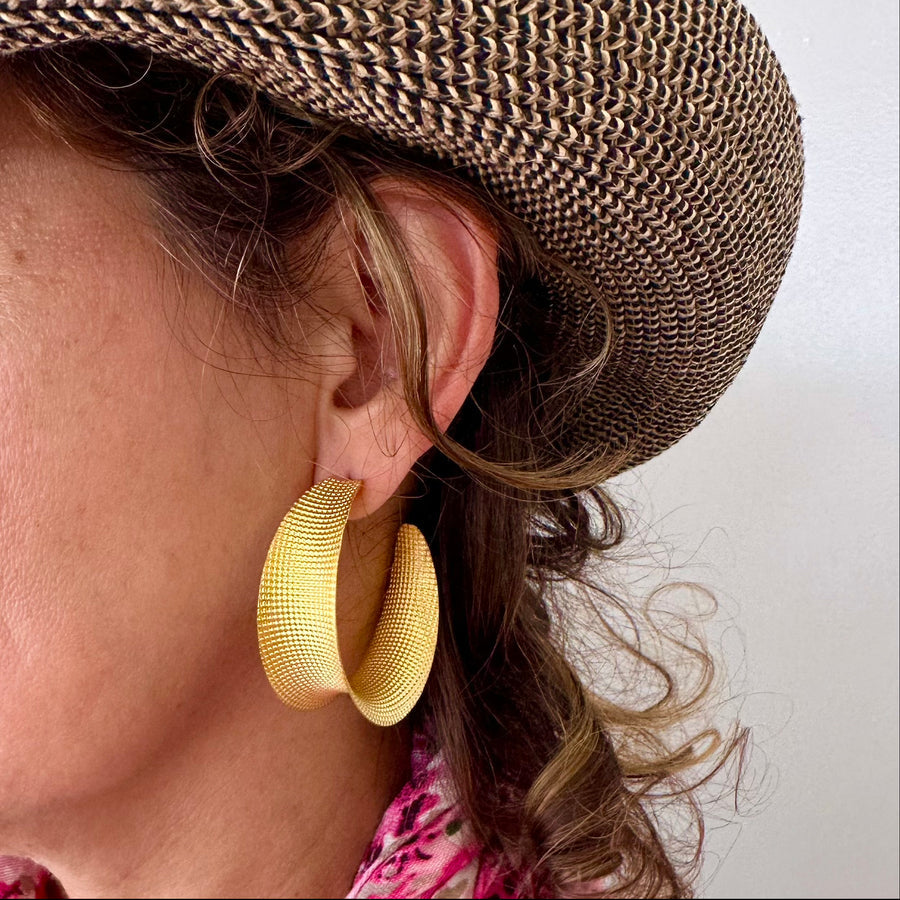 BC Python Hoops
